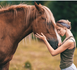 סוס מנצח: היתרונות בטיפול פיזיותרפיה בעזרת רכיבה על סוסים-תמונה